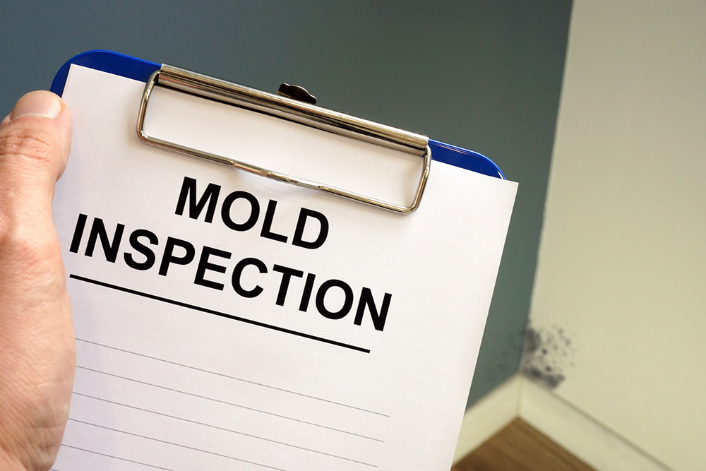 Mold inspection clipboard in house