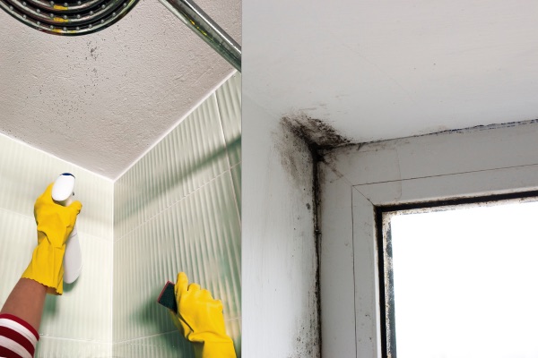 Mould on Bathroom Ceiling? Pro Cleaning Hacks to Tackle Bathroom Mould